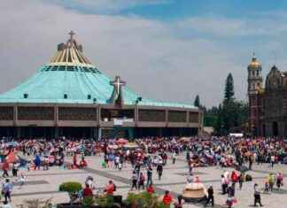 Beatificación del Padre Moisés Lira Serafín en la Basílica de Guadalupe news-14092024-055515