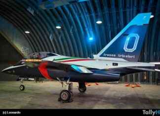 El M346 de Aeronáutica Militar: Futuro Avión de la Patrulla Frecce Tricolori news-14092024-082952