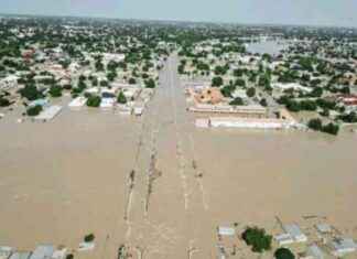 Inundación histórica en Maiduguri, Nigeria: 1 millón afectados news-14092024-091820