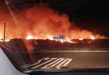 Incendio en Casas de Miravete pone en peligro Parque Nacional de Monfragüe news-14092024-111939