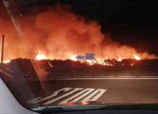 Incendio en Casas de Miravete pone en peligro Parque Nacional de Monfragüe news-14092024-111939