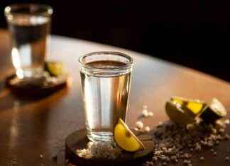 Marcas de tequila con mayor influencia para dar el grito news-14092024-120435