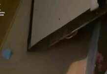 Muerte de Raquel en Villalbilla: denuncia contradictoria, altar Hare Krishna y pastillas news-15092024-073614