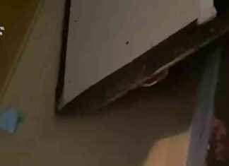 Muerte de Raquel en Villalbilla: denuncia contradictoria, altar Hare Krishna y pastillas news-15092024-073614