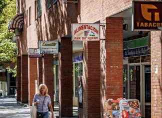 Explorando las maravillas de una calle en Madrid news-15092024-113632