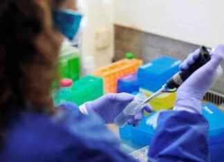 Requisitos para acceder a ayudas madrileñas a jóvenes investigadores news-15092024-133800