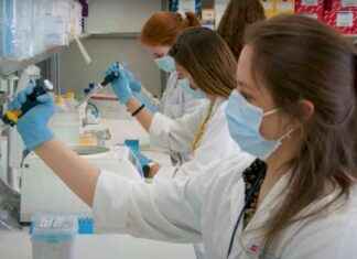 Tratamientos oncológicos a domicilio en hospitales públicos de Madrid news-16092024-115707