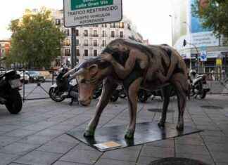 Galería de Vacas en Madrid: Conexión entre lo Rural y lo Urbano con 34 Esculturas news-17092024-062351