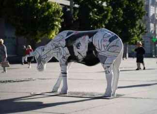 Galería de Vacas en Madrid: Descubre las Esculturas al Aire Libre news-17092024-062513
