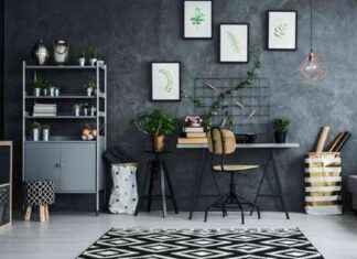 El rol del arquitecto interiorista en la reforma y diseño de viviendas: enfoque desde la Arquitectura CBC news-18092024-180500