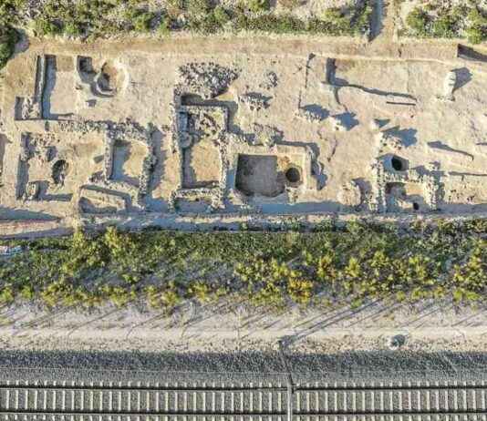 Descubrimientos arqueológicos en las obras del AVE: templo carpetano y lagar romano news-22092024-072950