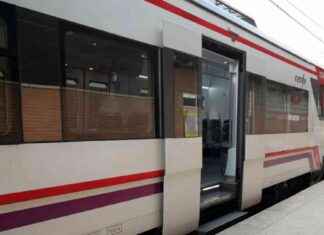 Demoras en Cercanías Madrid por caída de árbol en Leganés y Zarzaquemada news-22092024-173740