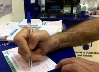 La Primitiva: Nuevo Millonario en España con Bote de 16 Millones news-22092024-214056