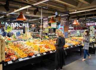 Supermercados económicos en Madrid: ¡Descubre dónde comprar barato! news-22092024-234141