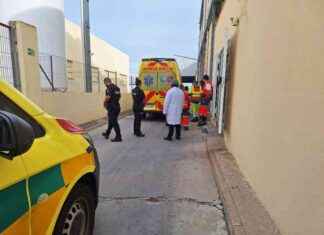 Accidente laboral en matadero de Alcalá: trabajador grave tras ser atrapado news-25092024-011456