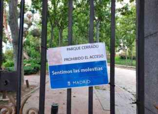 Parque del Retiro cerrado por fuerte viento – Zona Retiro – news-26092024-142245