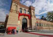 Exposiciones sobre ballenas en el Museo de Ciencias Naturales de Madrid news-27092024-012201