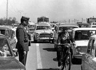 308 conductores celebran 50 años al volante: ¡Una hazaña digna de reconocimiento! news-30092024-003850