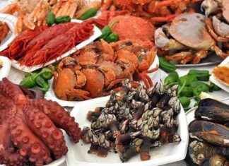 Feria de Marisco Gallego en Madrid: ¡Los Mejores Precios! news-10102024-105923