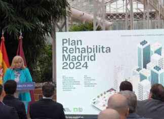 Ayudas de 50 millones de euros para renovar viviendas en Madrid 2024 news-14102024-175416