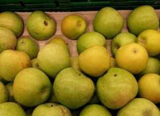 Fiesta del Pero en Pueblo Bonito de Madrid news-16102024-153149