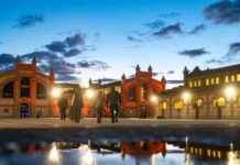 La evolución del Matadero de un lugar de matanza a un centro cultural vibrante news-21102024-044846
