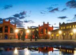 La evolución del Matadero de un lugar de matanza a un centro cultural vibrante news-21102024-044846