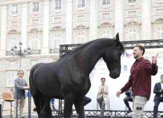 Doma clásica en el Palacio Real: Madrid Horse Week 2021 news-25102024-002443
