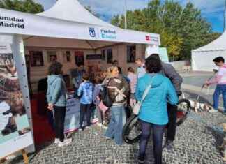 Gestión del Ayuntamiento de Madrid en el XIX Salón de Adopción de Animales news-26102024-181304