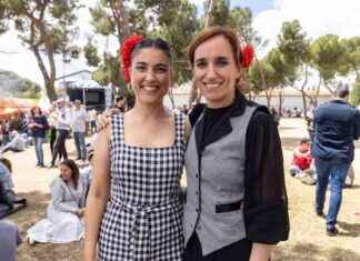 Conflictos internos en Más Madrid por el Caso Errejón: análisis de la situación news-28102024-001916