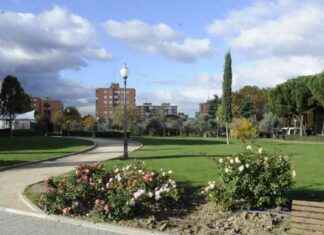 La mejor localidad de Madrid para alquilar habitaciones: guía completa news-29102024-125548