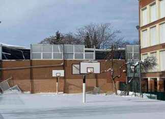 Nevera del Ramiro de Maeztu: aprobada para su uso news-06112024-054825