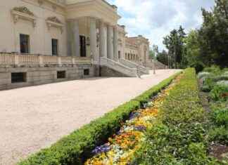 La lujosa residencia del magnate del petróleo news-22112024-005132