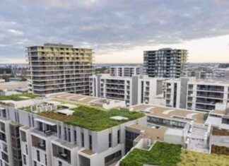 Madrid planea crear azoteas verdes en toda la ciudad news-28112024-151223