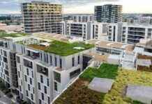 Requisitos para instalar azotea verde en Madrid. news-28112024-165721