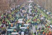 Ayudas de más de 80 millones de euros para agricultores y ganaderos en Madrid ayudas-de-ms-de-80-millones-de-euros-para-agricultores-y-ganaderos-en-madrid