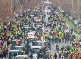 Ayudas de más de 80 millones de euros para agricultores y ganaderos en Madrid ayudas-de-ms-de-80-millones-de-euros-para-agricultores-y-ganaderos-en-madrid