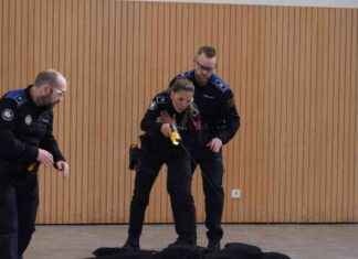 Intervenciones resueltas por la Policía Municipal con pistolas táser ntervenciones-resueltas-por-la-polica-municipal-con-pistolas-tser