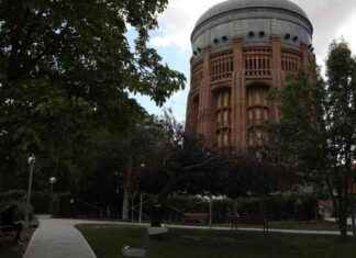 Exposición de Lorenzo Caprile en Madrid desalojada por vertido de gas irritante exposicin-de-lorenzo-caprile-en-madrid-desalojada-por-vertido-de-gas-irritante