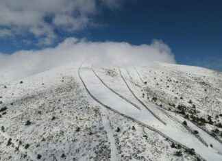 Alineaciones De Atlético De Madrid Contra Lille OSC Alineaciones De Atlético De Madrid Contra Lille OSC