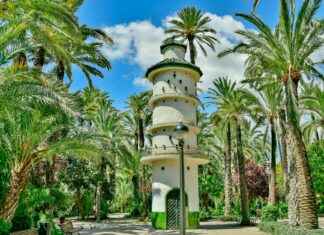 Alineaciones De Elche C. F. Contra Atlético De Madrid Alineaciones De Elche C. F. Contra Atlético De Madrid