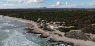 Alineaciones De R. C. D. Mallorca Contra Atlético De Madrid Alineaciones De R. C. D. Mallorca Contra Atlético De Madrid