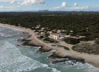 Alineaciones De R. C. D. Mallorca Contra Atlético De Madrid Alineaciones De R. C. D. Mallorca Contra Atlético De Madrid