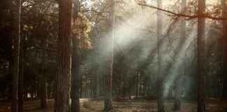 Clasificaciones De Jugadores De Rayo Vallecano Contra Real Madrid Clasificaciones De Jugadores De Rayo Vallecano Contra Real Madrid