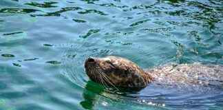 Clasificaciones De Jugadores De Valencia C. F. Contra Real Madrid Clasificaciones De Jugadores De Valencia C. F. Contra Real Madrid