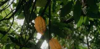 Comisaría Policía Nacional De Latina Avenida De Los Poblados Madrid Comisaría Policía Nacional De Latina Avenida De Los Poblados Madrid