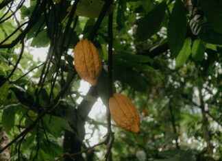 Comisaría Policía Nacional De Latina Avenida De Los Poblados Madrid Comisaría Policía Nacional De Latina Avenida De Los Poblados Madrid