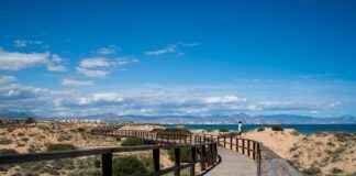 Cronología De Elche C. F. Contra Atlético De Madrid Cronología De Elche C. F. Contra Atlético De Madrid