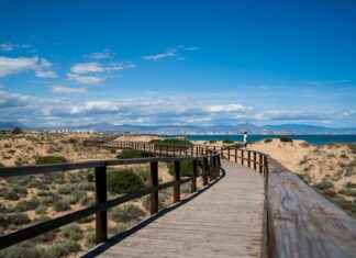 Cronología De Elche C. F. Contra Atlético De Madrid Cronología De Elche C. F. Contra Atlético De Madrid