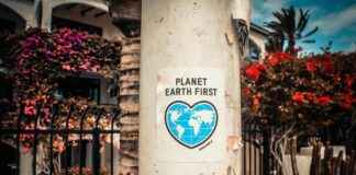 Cronología De U. D. Las Palmas Contra Real Madrid Cronología De U. D. Las Palmas Contra Real Madrid